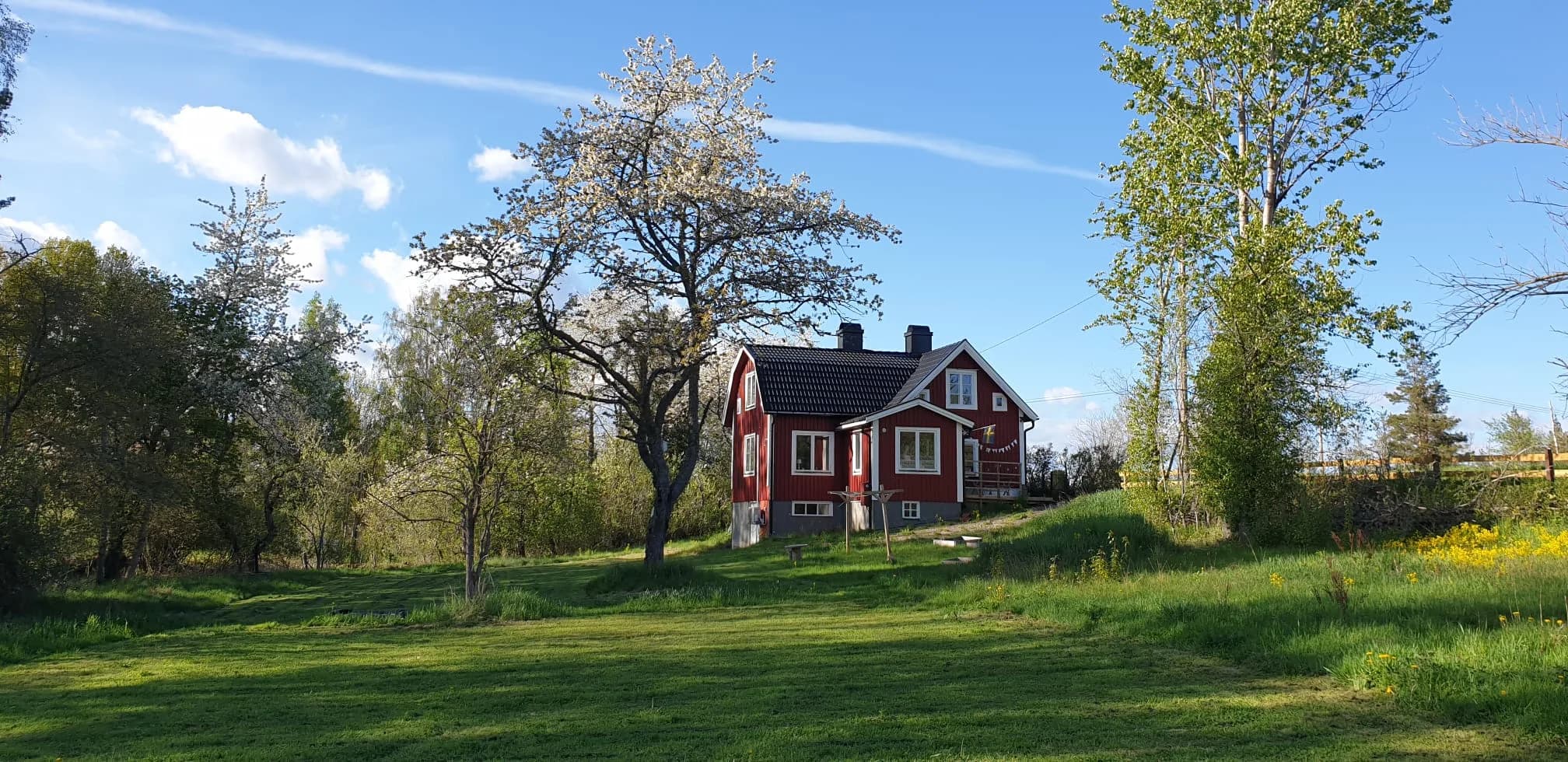 Rotes Schwedenhaus mit Garten und blühendem Baum